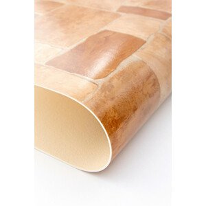 PVC podlaha Lentex Maxima Eko 49403