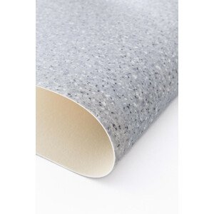 PVC podlaha Lentex Voyager 55201
