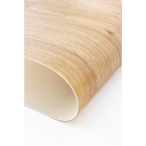 PVC podlaha Lentex Voyager 59101