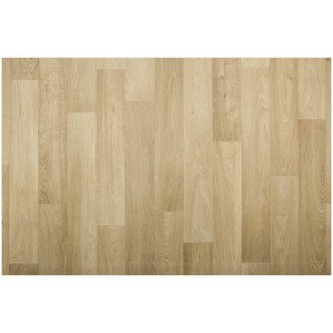 PVC podlaha Bingo Camargue 504