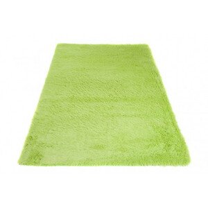 Koberec SILK zelený