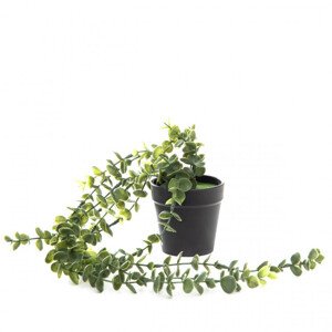 Umělá rostlina EUCALYPTUS v květináči 842486 50 cm