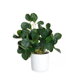 Umělá rostlina TROPICAL ZONE peperomia 882000 43 cm