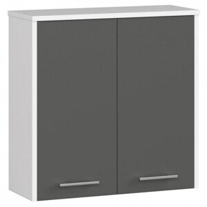 Koupelnová skříňka W 60 cm FIN 2D bílá/šedá