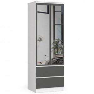 Skříň STAR S 60 cm 2D 2SZ zrcadla CLP bílá / šedá