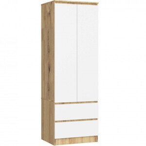 Skříň STAR S 60 cm 2D 2SZ dub artisan / bílá