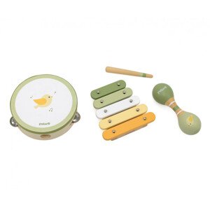 Hudební souprava Viga 44213 PolarB ptáček
