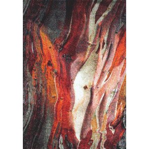 Koberec Rust 21304-910 Red