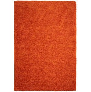 Koberec Efor Shaggy 3419 Orange