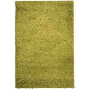 Koberec Efor Shaggy 1903 Green