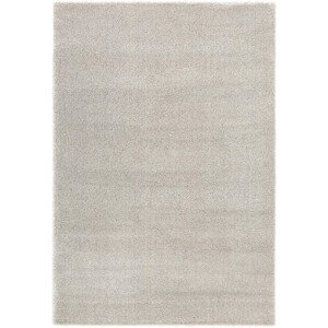 Koberec Ragolle Spectrum 80001 5666