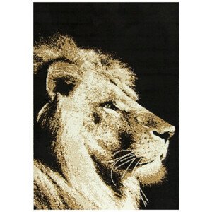 Koberec Nairobi Lev 543472/50944 zlatý