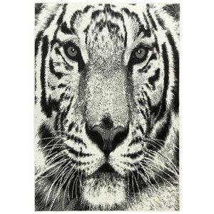 Koberec Nairobi - Tyger 543151/56933 krémový