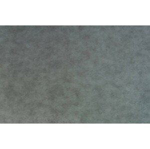 PVC podlaha Rapido Florence 592