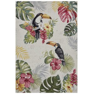Koberec Hanse Home Flair Tropical Dream krémový / vícebarevný
