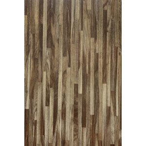 PVC Trento LINE OAK 646D 300 cm