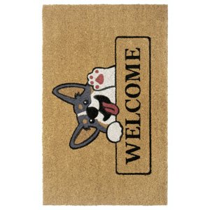 Kokosová rohož Hamse Home Mix Mats 105575 Cocos 45x75 cm