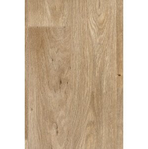 PVC podlaha MAXIMA EKO 633-01 - Jackson 065 400 cm